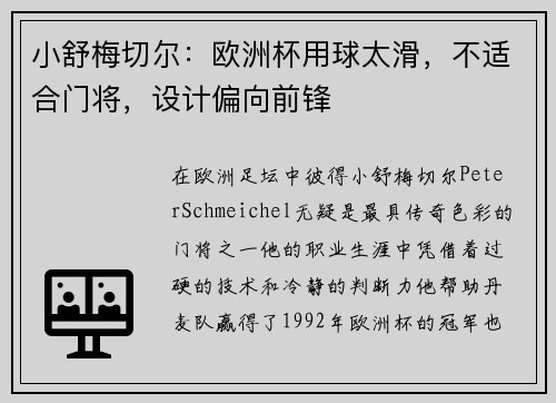 小舒梅切尔：欧洲杯用球太滑，不适合门将，设计偏向前锋