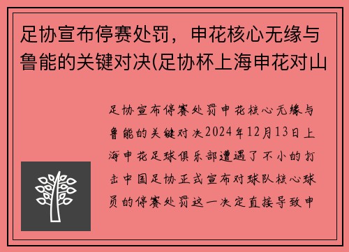 足协宣布停赛处罚，申花核心无缘与鲁能的关键对决(足协杯上海申花对山东鲁能)