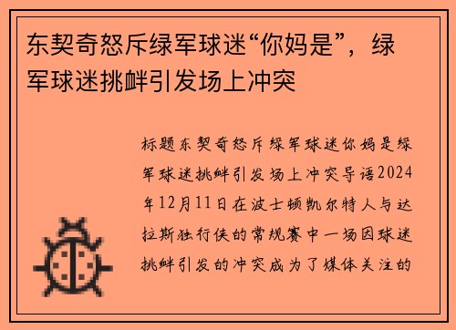 东契奇怒斥绿军球迷“你妈是”，绿军球迷挑衅引发场上冲突